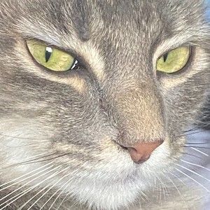 Meet your Posher, Leticia